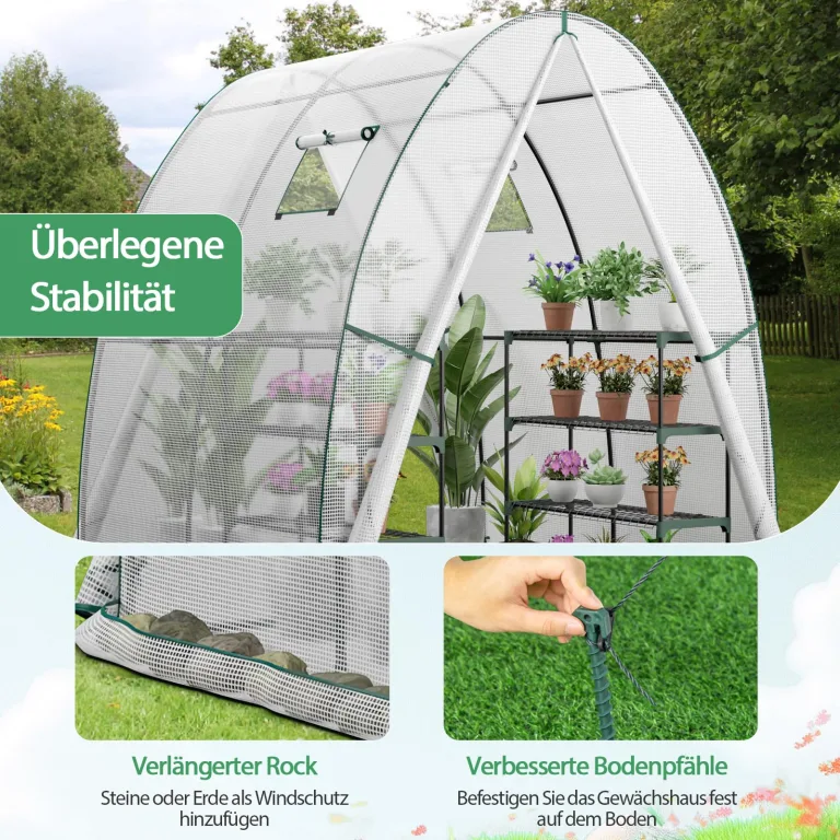 GOPLUS Gewächshaus, Tomatengewächshaus mit PE-Abdeckung & Metallrahmen, begehbares Foliengewächshaus mit Aufrollfenster & Aufrolltor, Treibhaus für Blumen, Pflanzen, 181 x 181 x 200 cm (Transparent) – Bild 3