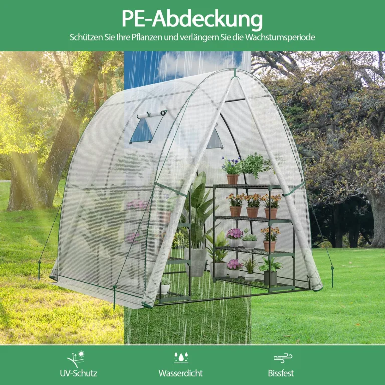 GOPLUS Gewächshaus, Tomatengewächshaus mit PE-Abdeckung & Metallrahmen, begehbares Foliengewächshaus mit Aufrollfenster & Aufrolltor, Treibhaus für Blumen, Pflanzen, 181 x 181 x 200 cm (Transparent) – Bild 4