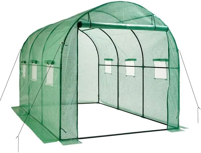 Escala Gewächshaus Treibhaus Glashaus Frühbeet (200 x 300 x 200 cm) Grün