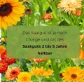 Eisbergsalat Samen Larsen 1g, Eissalat Salat Grün Robuste Gemüsesamen, Gemüse Samen, Samen Anzucht, Saatgut für Gewächshaus - Thumbnail 8