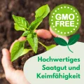Eisbergsalat Samen Larsen 1g, Eissalat Salat Grün Robuste Gemüsesamen, Gemüse Samen, Samen Anzucht, Saatgut für Gewächshaus - Thumbnail 4