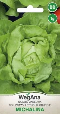 Butterkopfsalat Michalina Samen 1g, Grüne Kopfsalate, Robuste Gemüsesamen, Gemüse Samen, Samen Anzucht, Saatgut für Gewächshaus - Thumbnail 1