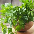 Lauchsamen 1g Porree Titus Robuste Gemüsesamen, Gemüse Samen Anzucht Saatgut für Gewächshaus Garten - Thumbnail 8
