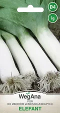 Lauchsamen 1g Porree Titus Robuste Gemüsesamen, Gemüse Samen Anzucht Saatgut für Gewächshaus Garten - Thumbnail 9