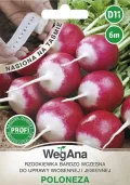 Radieschen Poloneza Saatband 6m Gemüsesamen, Gemüse Samen Anzucht Saatgut für Gewächshaus Garten - Thumbnail 1