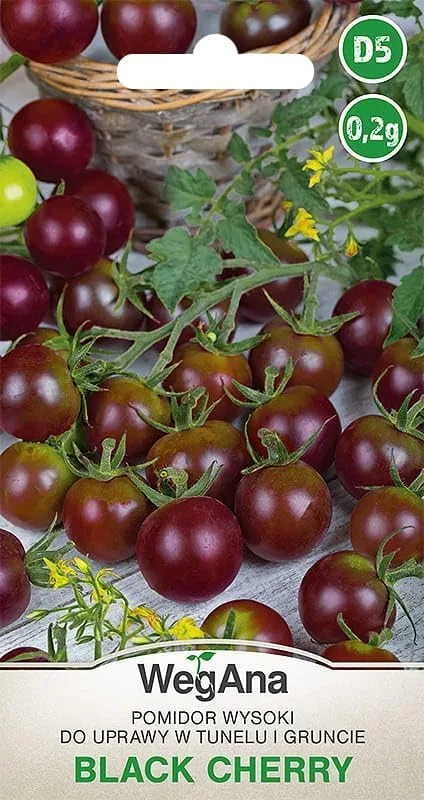 Schwarze Cherry-Tomate 0,2g (Etwa 300 Samen) Black Cherry Robuste Gemüsesamen, Gemüse Samen, Samen Anzucht, Saatgut für Gewächshaus