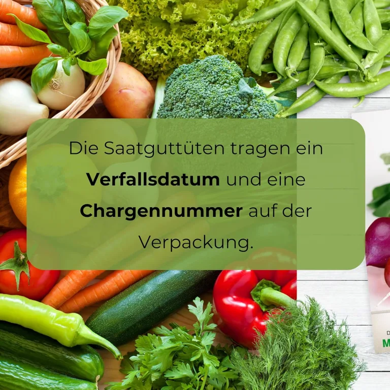 Schwarze Cherry-Tomate 0,2g (Etwa 300 Samen) Black Cherry Robuste Gemüsesamen, Gemüse Samen, Samen Anzucht, Saatgut für Gewächshaus – Bild 9