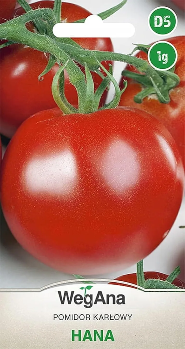 Kresse für Sprossen und Mikroblätter 30g Gemüsesamen, Gemüse Samen Anzucht Saatgut für Gewächshaus Garten – Bild 2