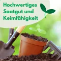 Paprika Tesla 20 Samen Robuste Gemüsesamen Gemüse Samen Anzucht Saatgut für Gewächshaus Paprikasamen - Thumbnail 3