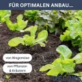 DELUKE Hochbeet aus Holz Jona | 200x30x25cm, Akazienholz | Hochbeet für Garten Hochbeet Holz Gartenbeet hoch Kräuterbeet XXL Blumenbeet Gemüsebeet groß Garten - Thumbnail 6