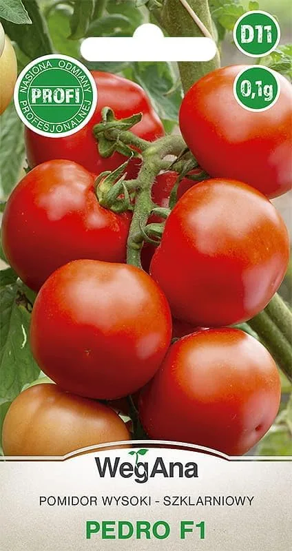 Tomaten Pedro Hybrid F1 0,1g Samen Tomatensamen Robuste Gemüsesamen, Gemüse Samen Anzucht Saatgut für Gewächshaus Garten – Bild 1