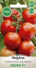 Tomaten Pedro Hybrid F1 0,1g Samen Tomatensamen Robuste Gemüsesamen, Gemüse Samen Anzucht Saatgut für Gewächshaus Garten - Thumbnail 1