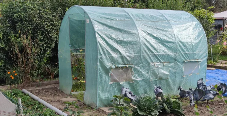 EraGreen Gitterfolie 1,5m x 40m - 280g/m² reißfeste Gewächshaus Folie mit Nagelrand, hoch UV-Stabil Gartenfolie für Tomatenhaus und Frühbeet, Gewebefolie – Bild 6