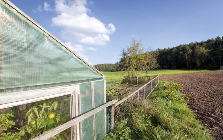 EraGreen Gitterfolie 1,5m x 80m - 280g/m² reißfeste Gewächshaus Folie mit Nagelrand, hoch UV-Stabil Gartenfolie für Tomatenhaus und Frühbeet, Gewebefolie – Bild 5