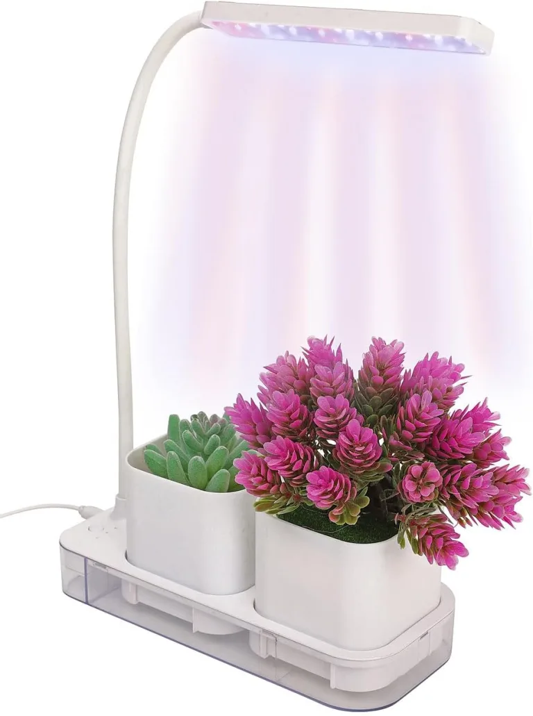 PEARL Anzuchtkasten mit Licht: Mini-Gewächs- & Anzucht-Station, 2 Töpfe, Wachstums-LEDs & Wassertank (Pflanzlicht, Aufzuchtstation, LED Beleuchtung) – Bild 4