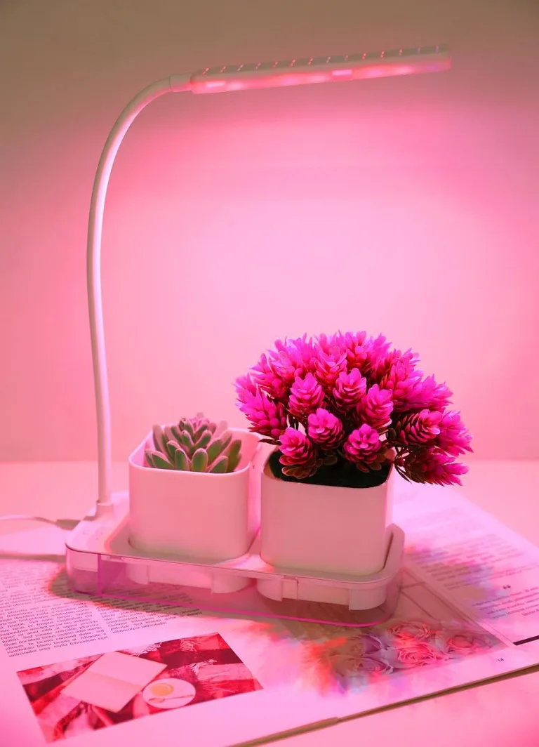 PEARL Anzuchtkasten mit Licht: Mini-Gewächs- & Anzucht-Station, 2 Töpfe, Wachstums-LEDs & Wassertank (Pflanzlicht, Aufzuchtstation, LED Beleuchtung) – Bild 5