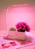 PEARL Anzuchtkasten mit Licht: Mini-Gewächs- & Anzucht-Station, 2 Töpfe, Wachstums-LEDs & Wassertank (Pflanzlicht, Aufzuchtstation, LED Beleuchtung) - Thumbnail 5