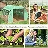 Outsunny Foliengewächshaus Polytunnel 4 x 3 x 2 m begehbares Gewächshaus mit aufrollbar Abdeckungen Folientunnel Treibhaus UV-Schutz Stahlrohr Grün – Bild 2