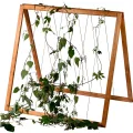 dobar® Rankhilfen-Aufsatz Gurken für Hochbeet Kubus 2.0 - Rankhilfe für den Garten - 78 x 58 x 78 cm - Braun - Thumbnail 1
