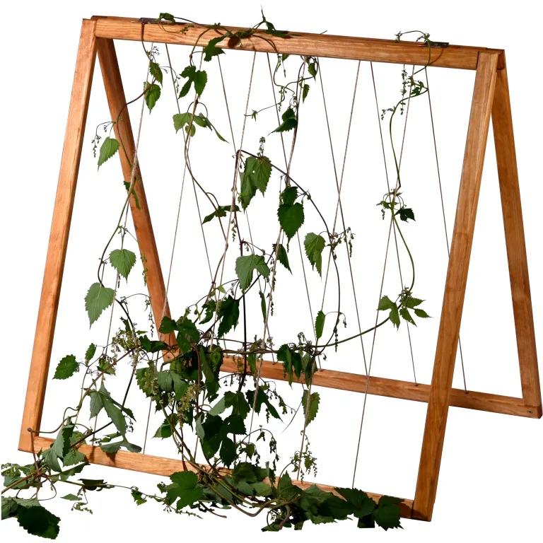 dobar® Rankturm-Aufsatz für Tomaten und Erdbeeren mit Ablage - Rankturm Holz für Hochbeet Kubus 2.0-74 x 54 x 89 cm - Anthrazit – Bild 9