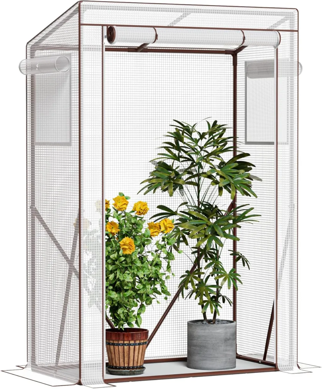 Amopatio Tomatengewächshaus, Foliengewächshaus Klein mit Atmungsaktives Fenster/verstärkter PE-Abdeckung/Erdhaken/Rolltor, 100 x 50 x 150 cm, Tomaten Gewächshaus für Garten, Balkon, Terrasse
