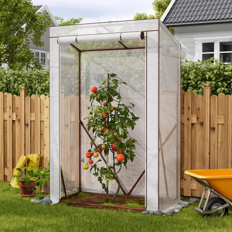 Amopatio Tomatengewächshaus, Foliengewächshaus Klein mit Atmungsaktives Fenster/verstärkter PE-Abdeckung/Erdhaken/Rolltor, 100 x 50 x 150 cm, Tomaten Gewächshaus für Garten, Balkon, Terrasse – Bild 2