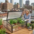 Frühbeet Mini Gewächshaus Pflanzenhaus - Aluminium & Polycarbonat, 100x100x48, schwarz - für Garten, Balkon und Terrasse, Winterfest, Stabil & Einfach zu Montieren - MAGNOLIA IV - Thumbnail 3