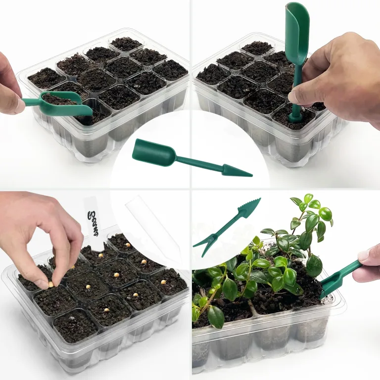 Qoolife Zimmergewächshaus Anzuchtkasten, Mini Gewächshaus Anzucht Set mit erhöhten Deckel, Setzling Starter mit Pflanzenlichter mit vollem 2 Stück (Transparent) – Bild 7