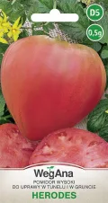 Tomate Herodes Tomatensamen 0,5g, Robuste Gemüsesamen, Gemüse Samen, Samen Anzucht, Saatgut für Gewächshaus - Thumbnail 1