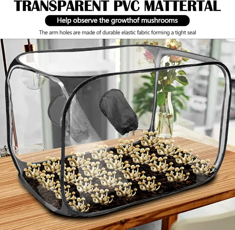 Pilzzuchtzelt, 60x60x90cm Growbox Gewächshaus Zuchtschrank Wasserdicht Pflanzzelt Growroom Pilzzucht Still Luftbox Pilzzuchtbeutel Tragbares Pilzzuchtzelt Set Pilzmykologie Abzugshauben – Bild 4