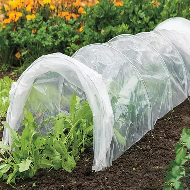 Polyethylenfolie Transparent Gewächshausfolie, Extra Dick Reißfest Gartenfolie Aus Polyethylen,Treibhaus Folie Zur Abdeckung Von Gemüsebeeten Tunnelfolie Tomatenhaus Folie (2 X 3m) – Bild 8