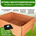 TTL GARDEN Balkon Hochbeet XL 120x40x80cm aus Holz - Pflanzkasten & Blumenkasten mit Ablageboden & Folie - Tannenholz wetterfest - Pflanzbeet Kräuterbeet Blumenbeet für Garten Balkon Terrasse Braun - Thumbnail 4