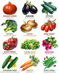 Bio Gemüsesamen Set - 12 Gemüse Samen für den einfachen Anbau im Garten, Balkon oder Hochbeet - ökologisches Saatgut - Pflanzensamen - Gemüsesamenset - Thumbnail 4