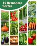 Bio Gemüsesamen Set - 12 Gemüse Samen für den einfachen Anbau im Garten, Balkon oder Hochbeet - ökologisches Saatgut - Pflanzensamen - Gemüsesamenset - Thumbnail 6