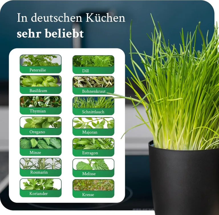 Novaliv Stilvolle Kräuterstation 3er Set mit Holzunterlage - Kräutertopf für Jede Fensterbank, Für frische Küchenkräuter, Kräutergarten für die küche, Kräuterbeet Indoor, Blumenkasten, Pflanzentopf – Bild 6