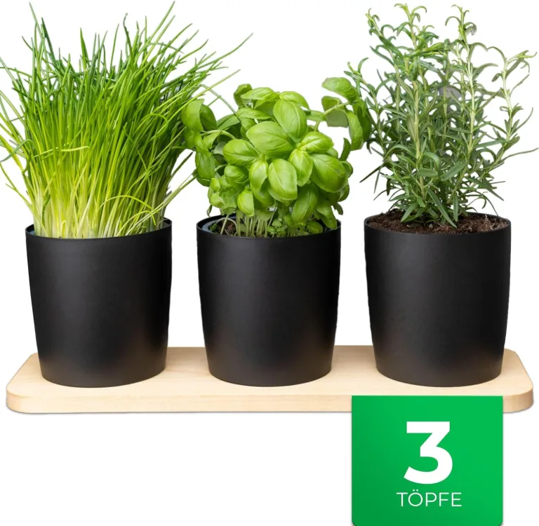 Novaliv Stilvolle Kräuterstation 3er Set mit Holzunterlage - Kräutertopf für Jede Fensterbank, Für frische Küchenkräuter, Kräutergarten für die küche, Kräuterbeet Indoor, Blumenkasten, Pflanzentopf – Bild 2