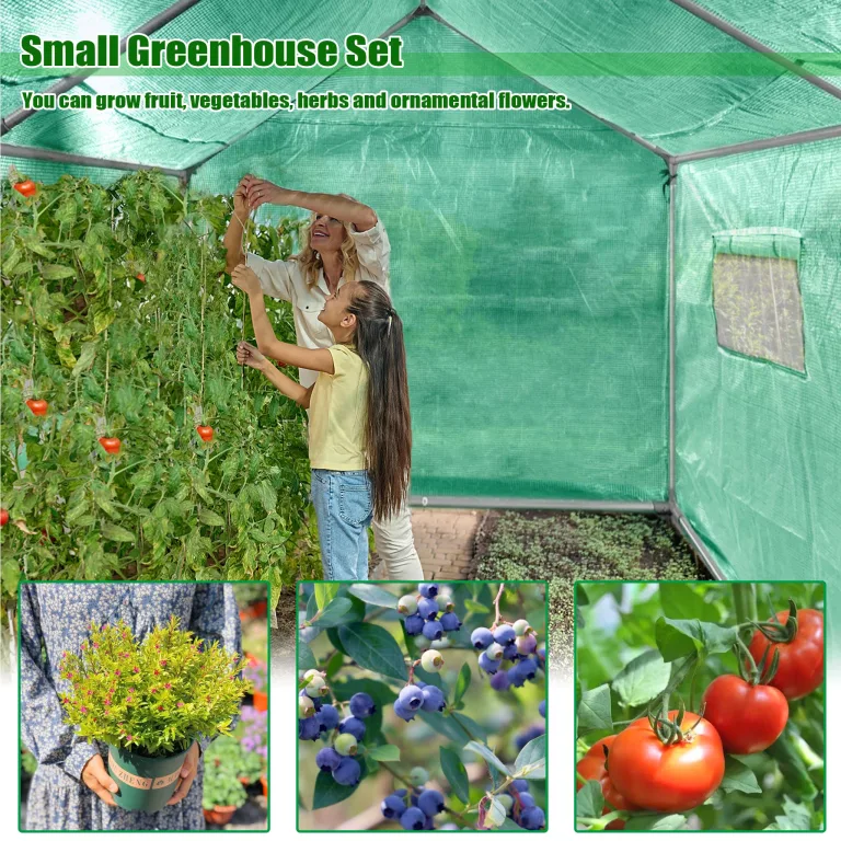 300x200x200cm Frostschutz Gartengewächshäuser aus Stahlrohren, 6㎡ Begehbares Tomatenhaus mit Satteldach, Rolltor mit Reißverschluss & Fenstern, Winterfest HDPE Foliengewächshaus für Garten – Bild 3
