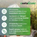 10x Gewächshausplatten 6mm I Polycarbonat Hohlkammerplatten für Gewächshäuser I PC Doppelstegplatten UV-beständig & bruchsicher I für Garten, Frühbeet uvm I 60,5cm x 150cm I Transparent - Thumbnail 3