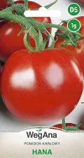 Tomaten Hana 1g Samen Zwergtomate Tomatensamen Robuste Gemüsesamen Gemüse Samen Anzucht Saatgut für Gewächshaus Garten Mittelfrühe - Thumbnail 1