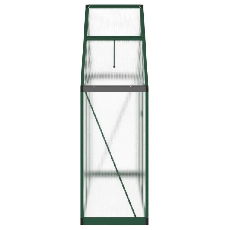 Rantry Gewächshaus für den Garten, Gestell Gewächshaus mit grünem Boden 169 x 58 x 195 cm aus Aluminium, Gewächshaus für den Garten, Gewächshaus für Pflanzen – Bild 4