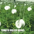 10er-Pack Tomaten-Rankgitter-Rollhaken mit 15 M Schnur für Tomaten, Pflanzen, Gewächshäuser, Blumenreben, Rankgitter-Set, Pflanzen-Rollhaken - Thumbnail 5