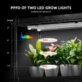 Spider Farmer 2025 Pflanzenständer Grow Lampe Kit, 4 Etagen Pflanze Regal mit 6 Stück 30cm Vollspektrum LED Lights und GrowZelt für Seed Starting Pflanzen Wachstum 40x30x120CM - Thumbnail 5