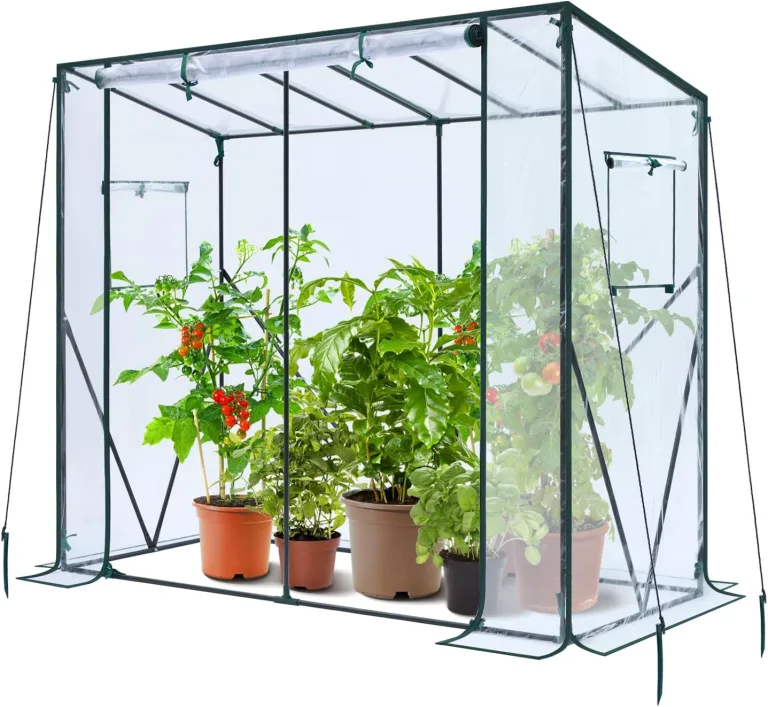 Ohuhu Tomaten Gewächshaus Foliengewächshaus mit PVC-Abdeckung und Fernster, Begehbarer Gewächshaus 200x77x170 cm Gewächshaus Klein Winterfest Tomatenhaus für Optimales Pflanzenwachstum – Bild 1