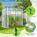 Ohuhu Tomaten Gewächshaus Foliengewächshaus mit PVC-Abdeckung und Fernster, Begehbarer Gewächshaus 200x77x170 cm Gewächshaus Klein Winterfest Tomatenhaus für Optimales Pflanzenwachstum - Thumbnail 5