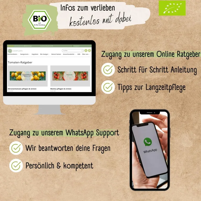 BIO mini Tomatensamen Set: 12 samenfeste Tomatensorten | Tomaten Saatgut mit seltene & alte Cocktail, Cherry & Fleischtomaten | Gemüse Samen für Balkon, Hochbeet, Garten & als Geschenk | Loveplants – Bild 6