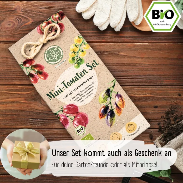 BIO mini Tomatensamen Set: 12 samenfeste Tomatensorten | Tomaten Saatgut mit seltene & alte Cocktail, Cherry & Fleischtomaten | Gemüse Samen für Balkon, Hochbeet, Garten & als Geschenk | Loveplants – Bild 7