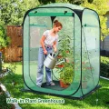 Ohuhu Pop Up Gewächshaus Tomaten Foliengewächshaus Stabil mit PE-Abdeckung und Fernster, Begehbarer Gewächshaus Gewächshaus Klein Winterfest Tomatenhaus für Optimales Pflanzenwachstum Grün - Thumbnail 7