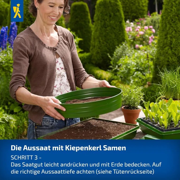 Kiepenkerl Fleisch-Tomaten Samen 1038200 - Gartentomate - Fruchtgewicht 200-250g - Inhalt für 25 Pflanzen - Gemüsesamen, Samen Gemüse, Saatgut, Gemüse Pflanzen – Bild 7