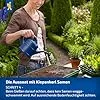 Kiepenkerl Fleisch-Tomaten Samen 1038200 - Gartentomate - Fruchtgewicht 200-250g - Inhalt für 25 Pflanzen - Gemüsesamen, Samen Gemüse, Saatgut, Gemüse Pflanzen – Bild 3