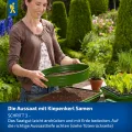 Kiepenkerl Fleisch-Tomaten Samen 1038200 - Gartentomate - Fruchtgewicht 200-250g - Inhalt für 25 Pflanzen - Gemüsesamen, Samen Gemüse, Saatgut, Gemüse Pflanzen - Thumbnail 7